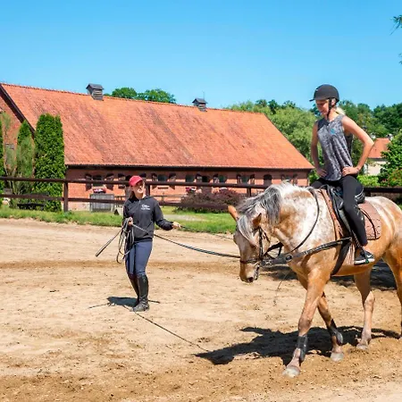 Palac Holiday park Galiny