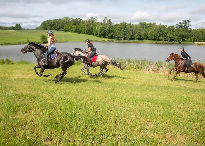 Holiday park Palac Galiny